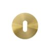 PVD Satin Brass