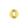 PVD Satin Brass