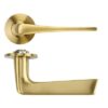 PVD Satin Brass