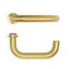 PVD Satin Brass