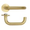 PVD Satin Brass