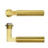 PVD Satin Brass