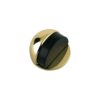Polished Brass