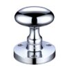 Polished Chrome