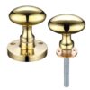 Polished Brass