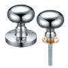 Polished Chrome