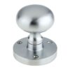 Satin Chrome