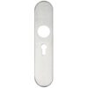 Radius Cover plate for 19 mm and 22mm RTD Lever on Backplate - Euro Profile 47.5mm
