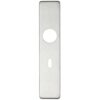 Cover plate for 19 mm and 22mm RTD Lever on Backplate - Lock 57mm