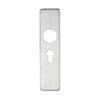 Cover plate for 19 mm RTD Lever on Short Backplate - Euro Profile 47.5mm - 45mm x180mm PSS