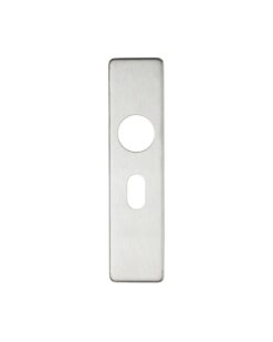 Cover plate for 19 mm RTD Lever on Short Backplate - Oval Profile 48.5mm - 45mm x 180mm PSS