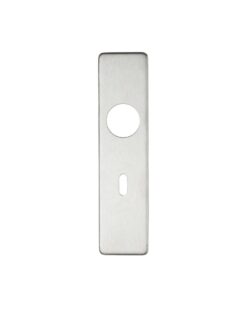 Cover plate for 19 mm RTD Lever on Short Backplate - Lock 57mm - 45mm x 180mm PSS