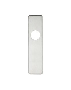 Cover plate for 19 mm RTD Lever on Short Backplate - Latch - 45mm x 180mm PSS