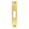 Polished Brass