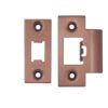 PVD Satin Bronze