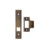 Florentine Bronze