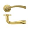 Favo Satin Brass
