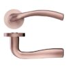 Tuscan Rose Gold