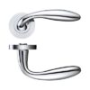 Polished Chrome