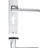 Venice lever on euro backplate