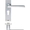 Venice lever on lock backplate