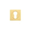 Favo Satin Brass