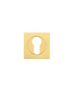 Square euro profile escutcheon