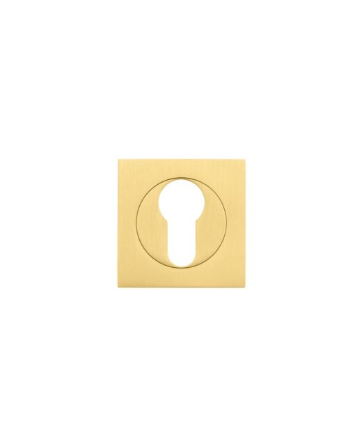 Square euro profile escutcheon