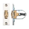 Polished Nickel