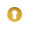 Polished Brass