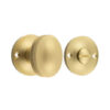 Satin Brass