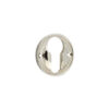 Polished Nickel
