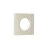 Polished Nickel