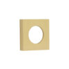 Satin Brass