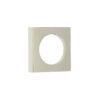 Polished Nickel