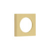 Satin Brass