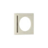 Polished Nickel