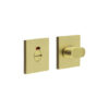 Satin Brass