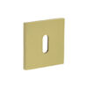 Satin Brass