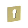 Satin Brass