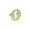Satin Brass