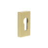 Satin Brass