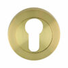 Satin Brass