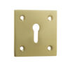 Polished Brass