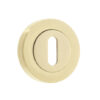 Satin Brass