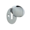 Polished Chrome