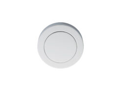 Blank Escutcheon