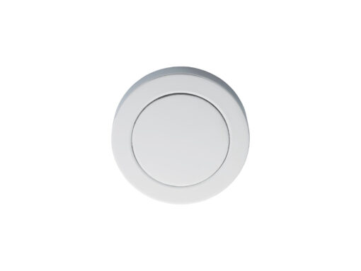 Blank Escutcheon