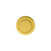 Polished Brass