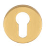 Satin Brass